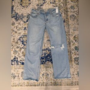 NWT Abercrombie & Fitch The 90s Baggy Low Rise Jeans